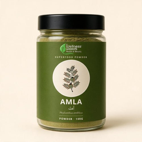 Amla — Powder (100g)